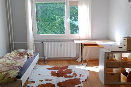 Wohnung Steinach - 1 Zimmer, 20 m&sup2;, 750&euro; | Angebot:25205353