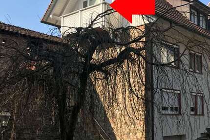 Wohnung Zell a. H. - 2 Zimmer, 60 m&sup2;, 520&euro; | Angebot:26914378