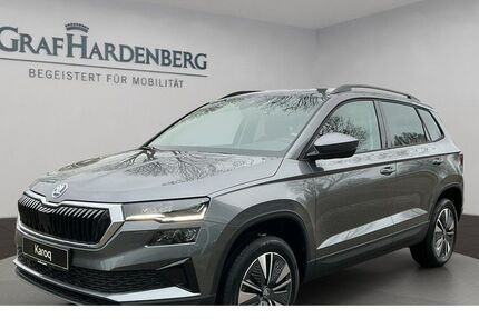 Skoda Karoq 12.000 km 36.888 &euro; Lahr 77933