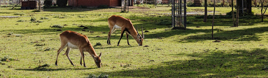 Steinwasen Park Oberried Schwarzwald Naturerlebnispark