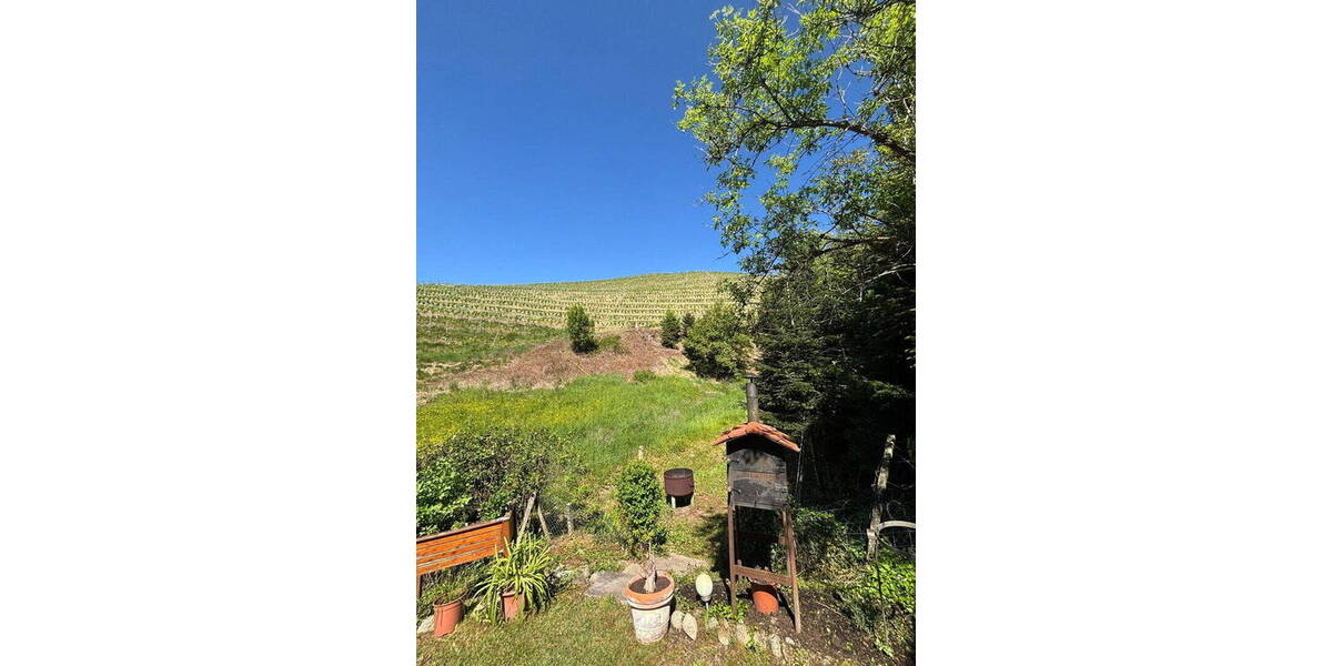 Mehrfamilienhaus, Wohnhaus Oberkirch / Bottenau Bottenau - 1 Zimmer, 296 m&sup2;, 595.000&euro; | Angebot:26040840