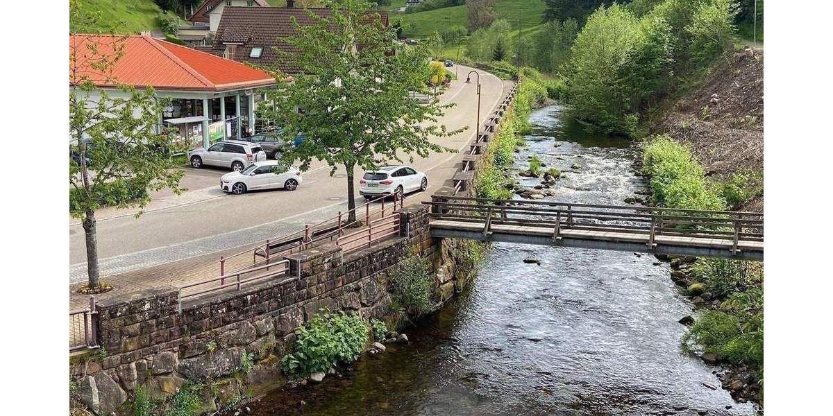 Gewerbeobjekt Bad Rippoldsau-Schapbach Schapbach - 500.000&euro; | Angebot:25780825