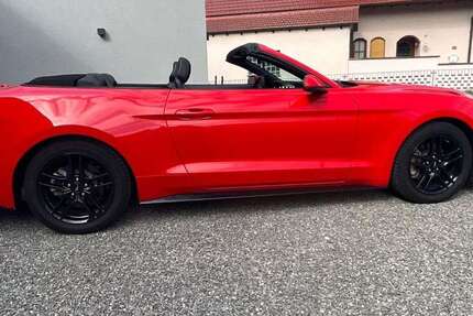 Ford Mustang 48.000 km 29.190 &euro; Friesenheim 77948