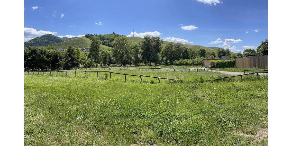 Grundstück Durbach - 550.000&euro; | Angebot:25939461