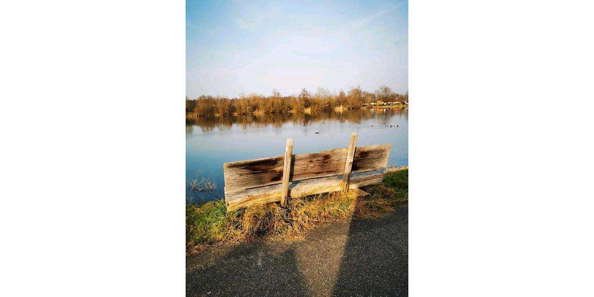 Einfamilienhaus Friesenheim - 3 Zimmer, 55 m&sup2;, 85.000&euro; | Angebot:25421356