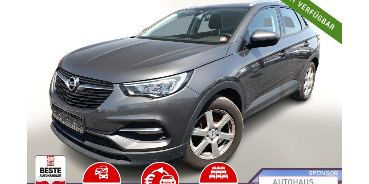 Opel Grandland (X) 97.750 km 13.188 &euro; Kehl 77694