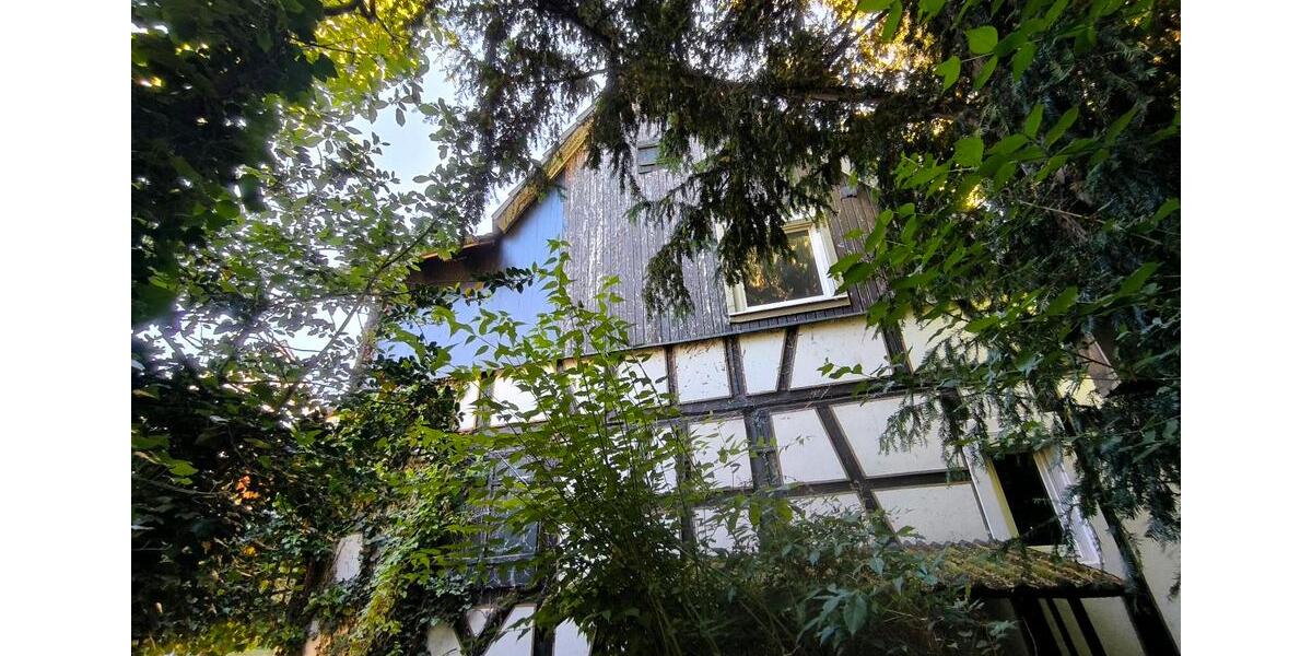 Einfamilienhaus Friesenheim - 359.000&euro; | Angebot:26953229