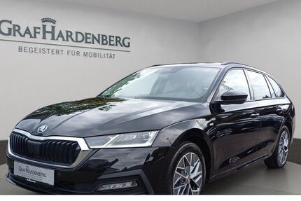 Skoda Octavia 90.500 km 23.444 &euro; Lahr 77933
