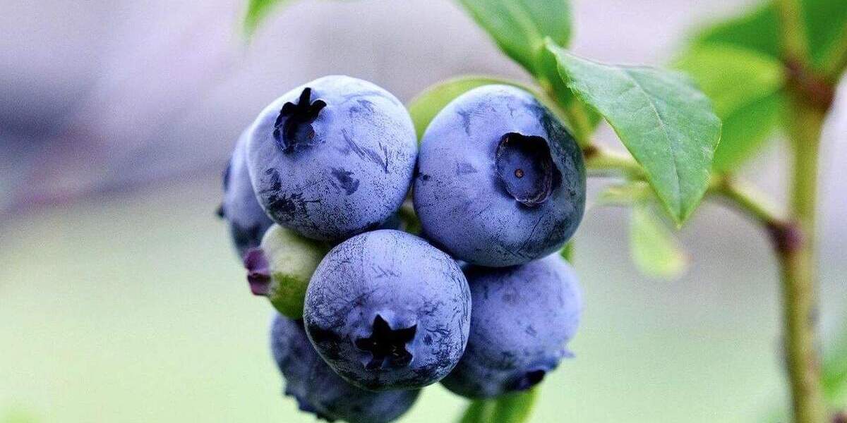 Etagenwohnung Oberkirch Tiergarten - 3 Zimmer, 90 m&sup2;, 683&euro; | Angebot:25659137