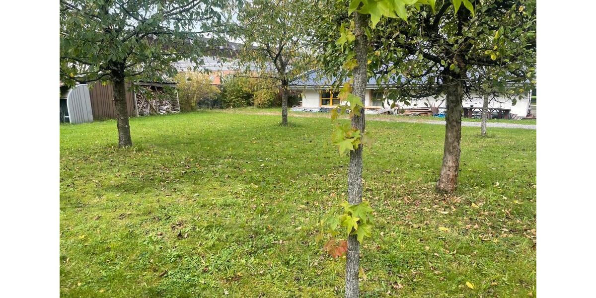 Etagenwohnung Gengenbach - 7 Zimmer, 150 m&sup2;, 150&euro; | Angebot:25127573