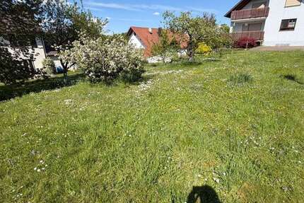Grundstück Friesenheim - 215.000&euro; | Angebot:26583124
