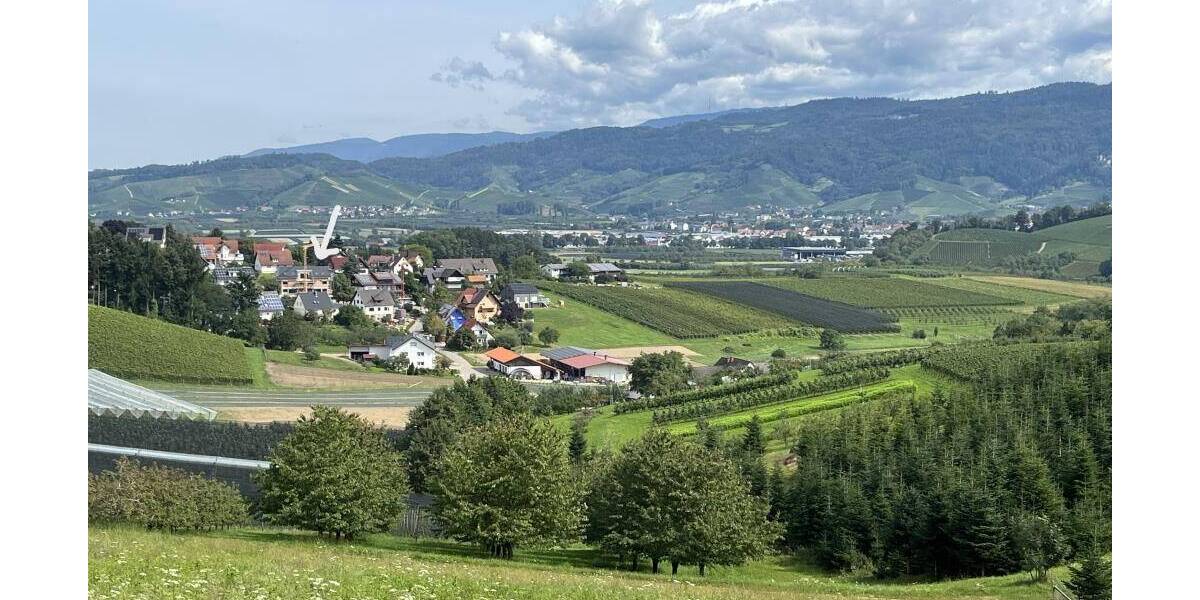 Etagenwohnung Oberkirch-Bottenau Bottenau - 4 Zimmer, 113 m&sup2;, 515.777&euro; | Angebot:25769391