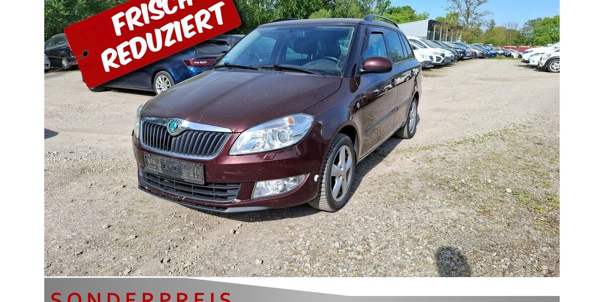Skoda Fabia 305.327 km 1.485 &euro; Achern 77855