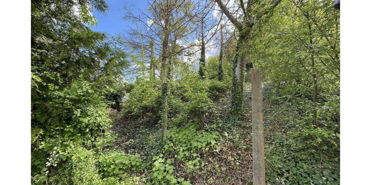 Grundstück Offenburg Zell-Weierbach - 550.000&euro; | Angebot:25850163