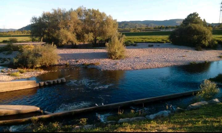 Einfamilienhaus Offenburg Elgersweier - 5 Zimmer, 142 m&sup2;, 540.000&euro; | Angebot:25408410