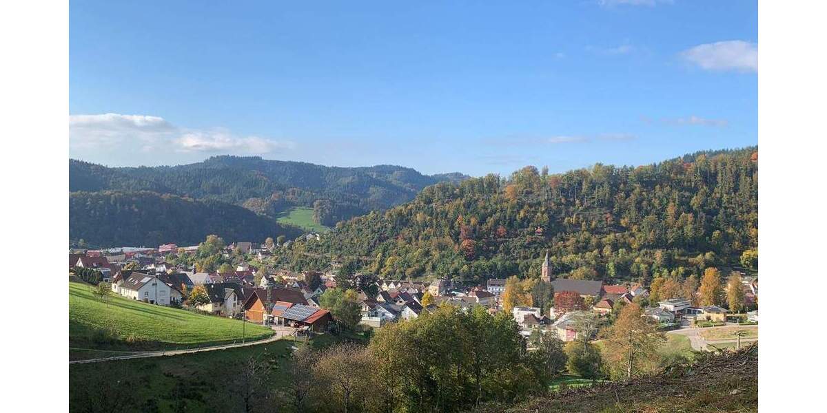 Mehrfamilienhaus, Wohnhaus Oppenau - 675.000&euro; | Angebot:25662414