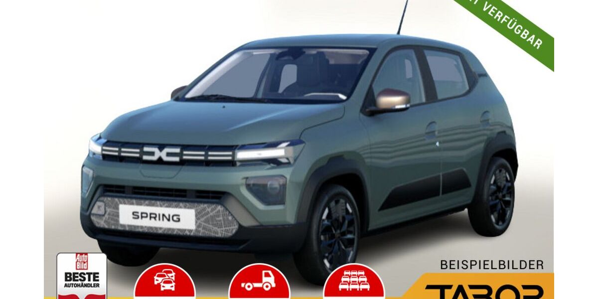 Dacia Spring 3.778 km 22.350 &euro; Achern 77855
