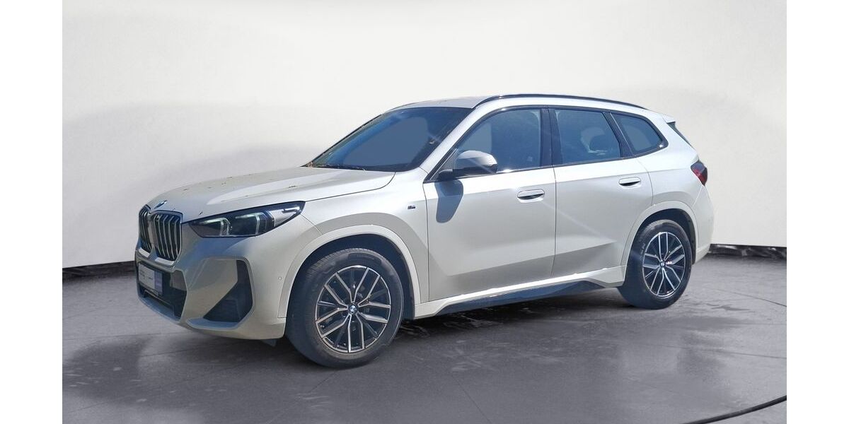 BMW X1 20.456 km 42.420 &euro; Lahr 77933