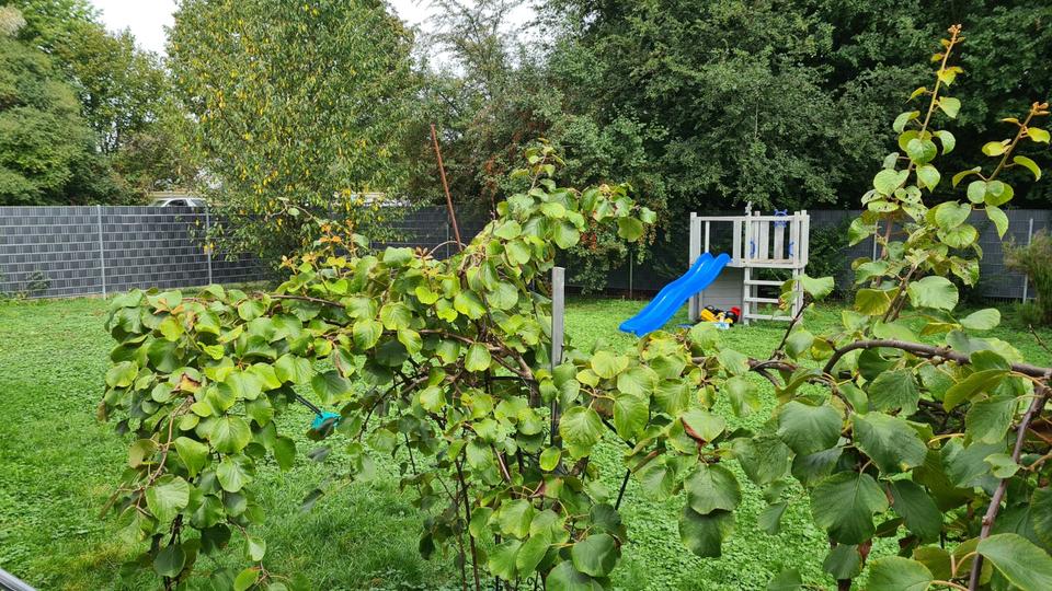 Einfamilienhaus Lahr (Schwarzwald) - 8 Zimmer, 288 m&sup2;, 990.000&euro; | Angebot:25381759