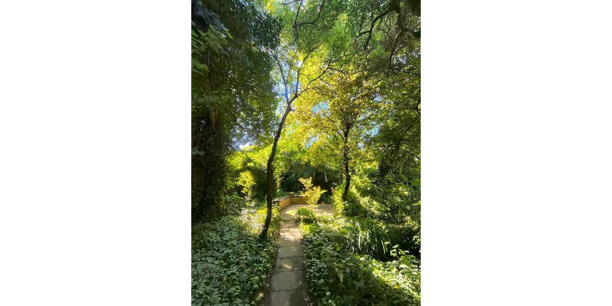 Einfamilienhaus Friesenheim - 359.000&euro; | Angebot:26953229