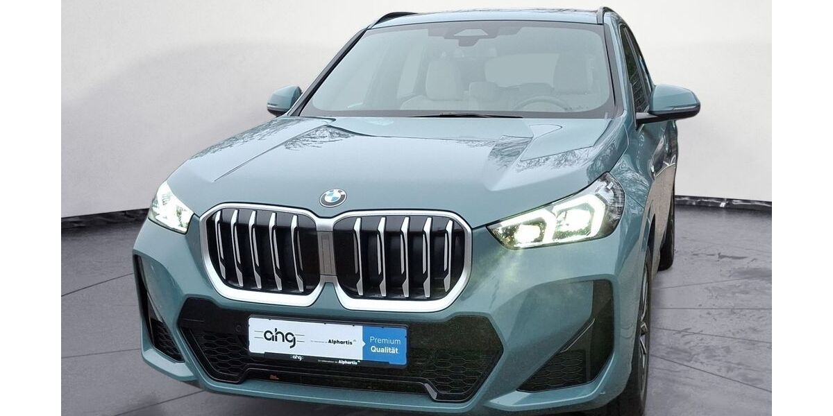 BMW X1 27.544 km 37.450 &euro; Lahr 77933