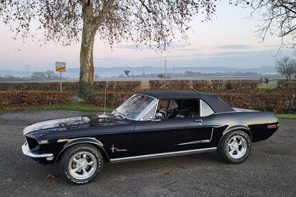 Ford Mustang 99.999 km 64.900 &euro; Schwanau 77963