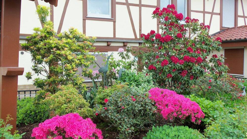 Gewerbeobjekt Offenburg Südstadt - 1.200.000&euro; | Angebot:25910526