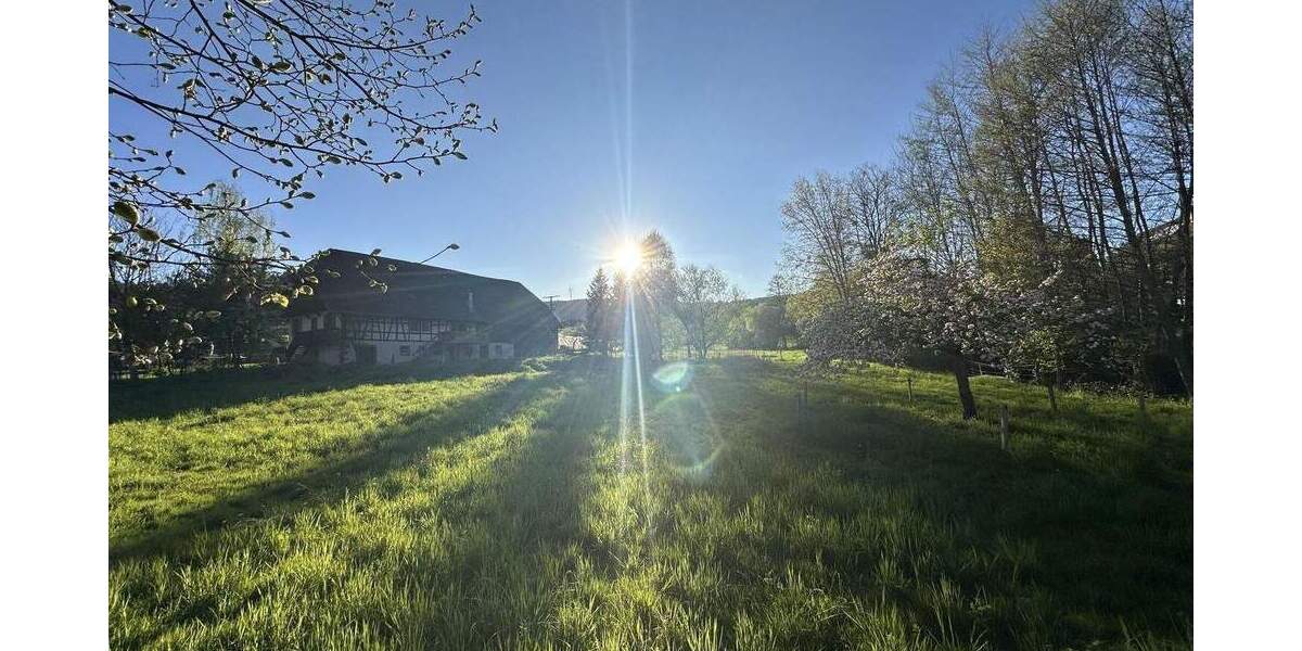 Grundstück Schuttertal - 450.000&euro; | Angebot:25707701