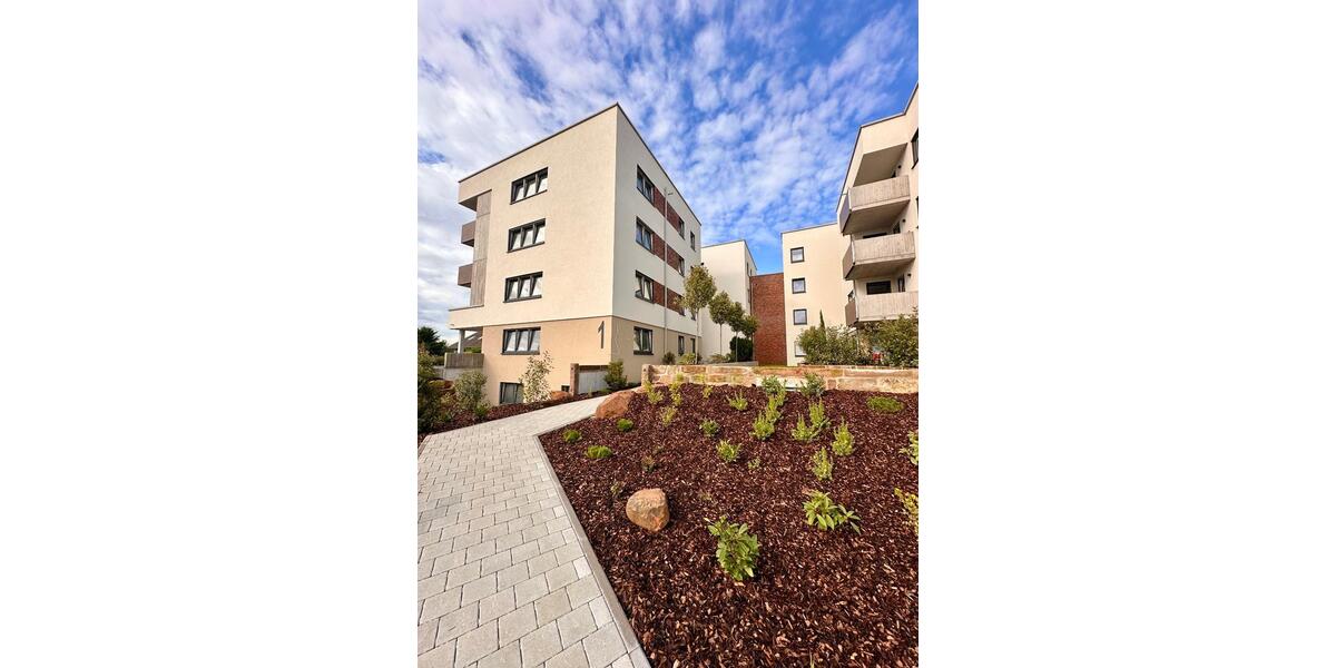 Erdgeschoßwohnung Willstätt - 4 Zimmer, 122 m&sup2;, 1.485&euro; | Angebot:25232895