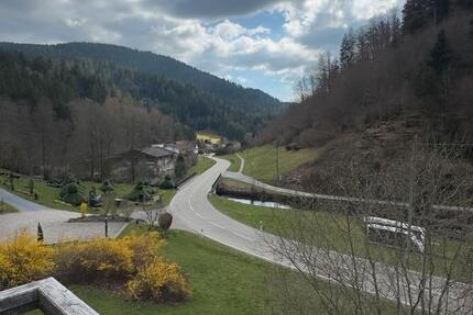 Wohnung Bad Rippoldsau-Schapbach Schapbach - 6 Zimmer, 145 m&sup2;, 1.390&euro; | Angebot:26007786