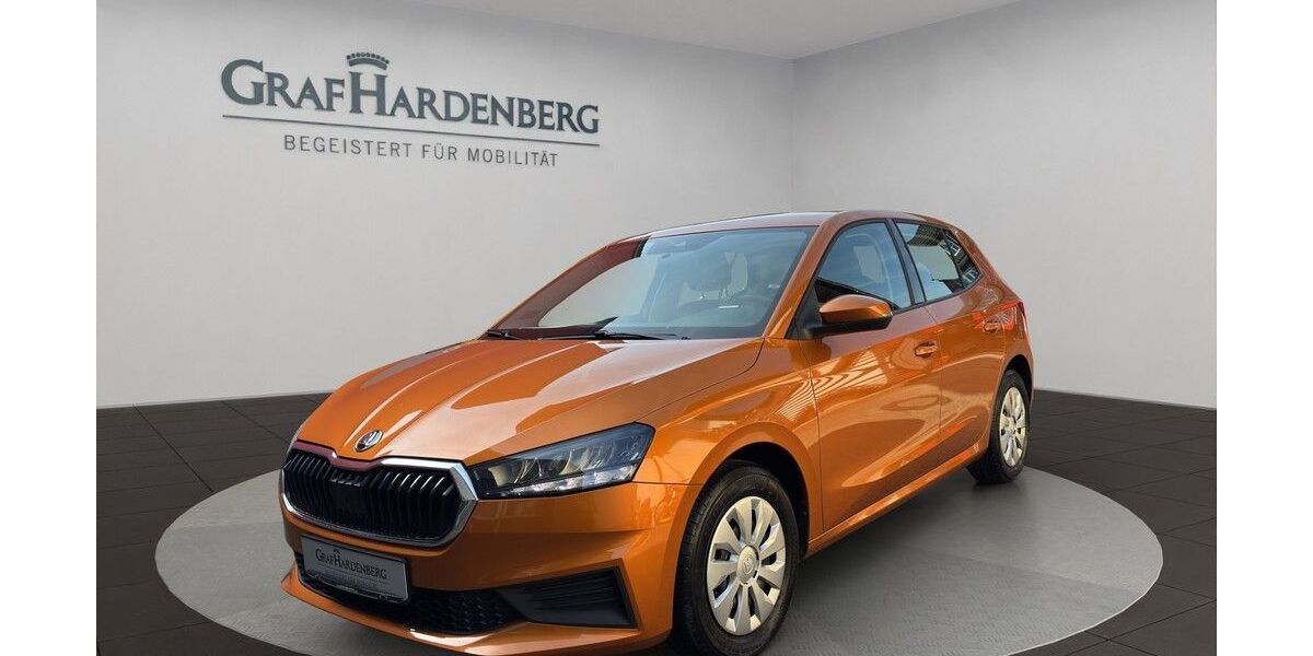 Skoda Fabia 36.900 km 14.777 &euro; Gengenbach 77723