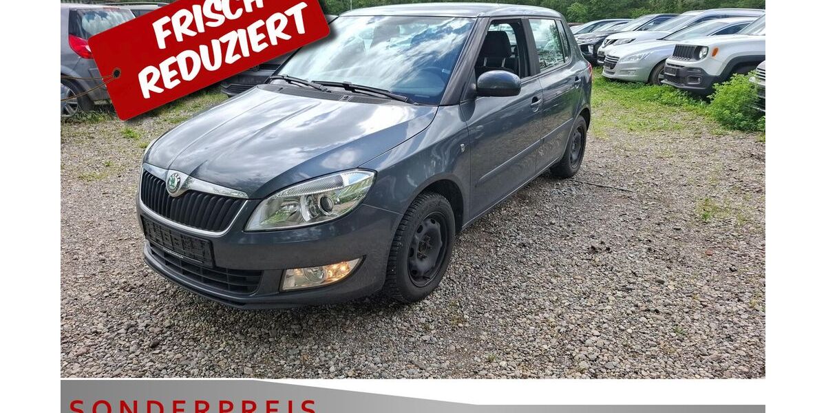 Skoda Fabia 174.078 km 1.785 &euro; Achern 77855