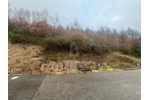 RUHIG UND NATURNAH MIT POSTKARTENPANORAMA - Grundstück Wolfach | Angebot:27257906