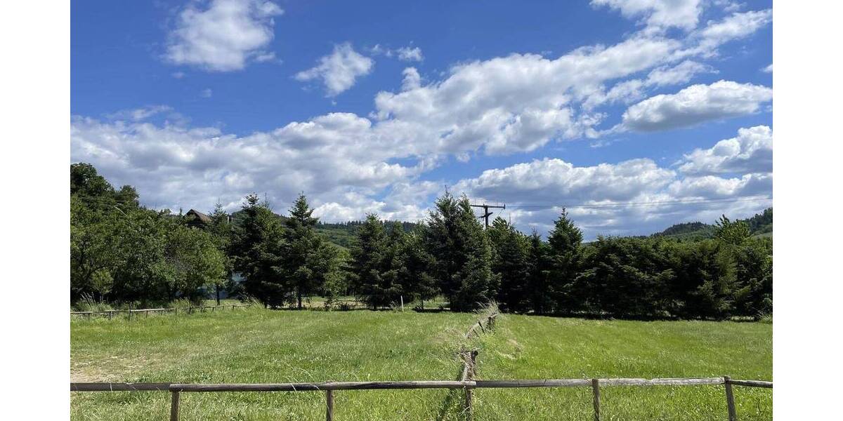 Grundstück Durbach - 550.000&euro; | Angebot:25939461