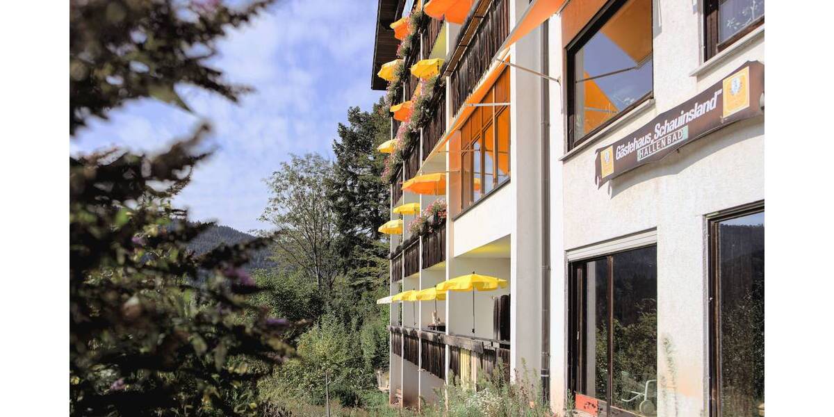 Mehrfamilienhaus, Wohnhaus Bad Peterstal-Griesbach Bad Peterstal - 3 Zimmer, 2 m&sup2;, 799.000&euro; | Angebot:25695539