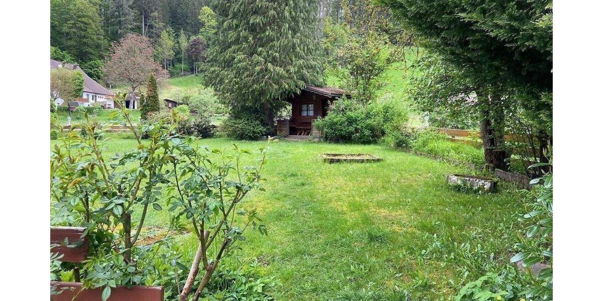 Gewerbeobjekt Bad Rippoldsau-Schapbach Schapbach - 500.000&euro; | Angebot:25899753