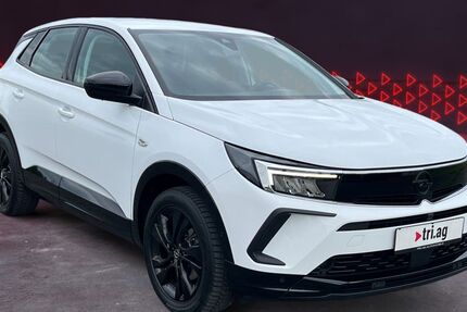 Opel Grandland (X) 104.888 km 19.370 &euro; Kippenheim 77971