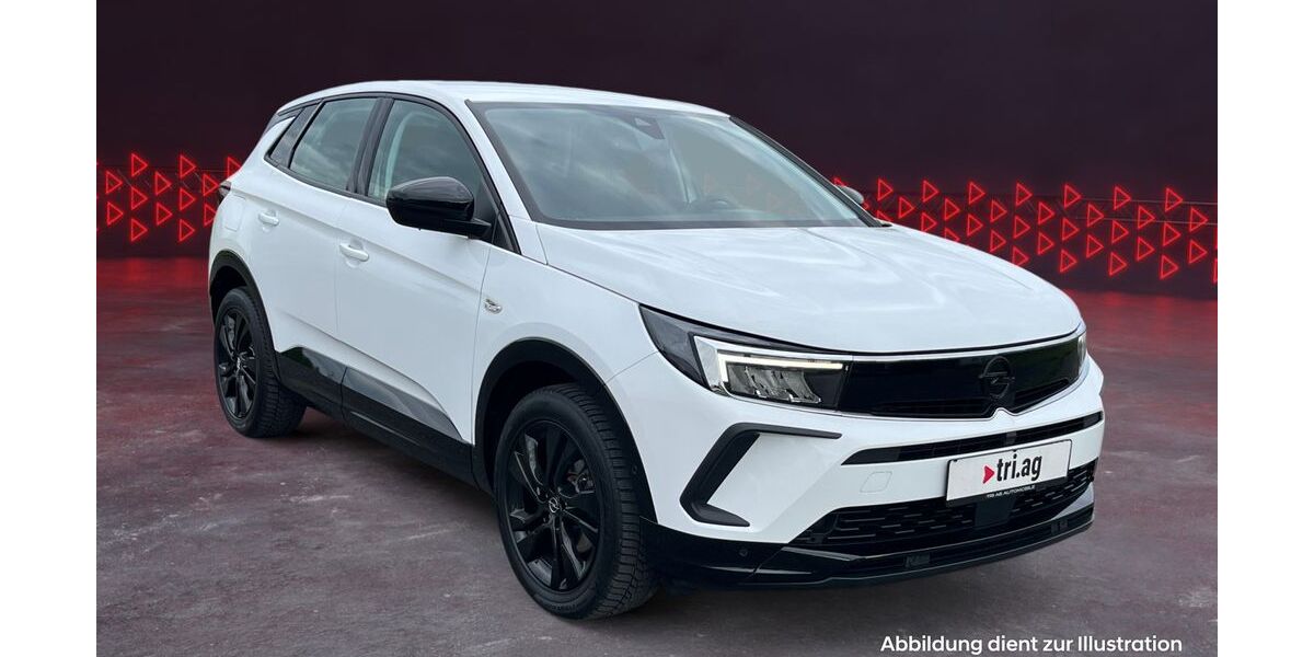 Opel Grandland (X) 104.888 km 19.370 &euro; Kippenheim 77971
