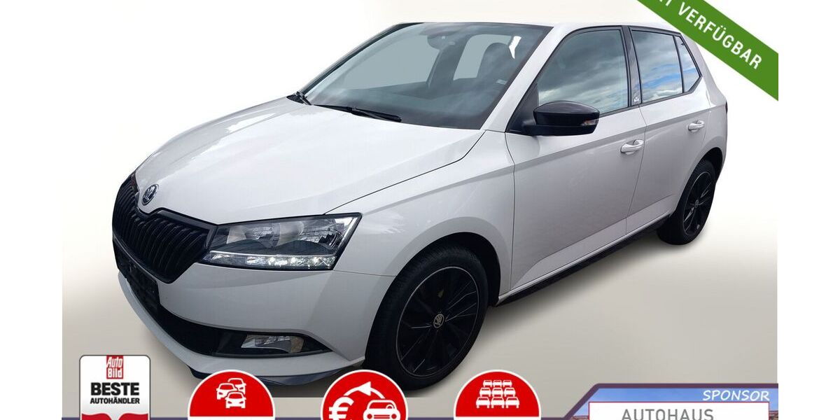 Skoda Fabia 79.250 km 13.788 &euro; Kehl 77694