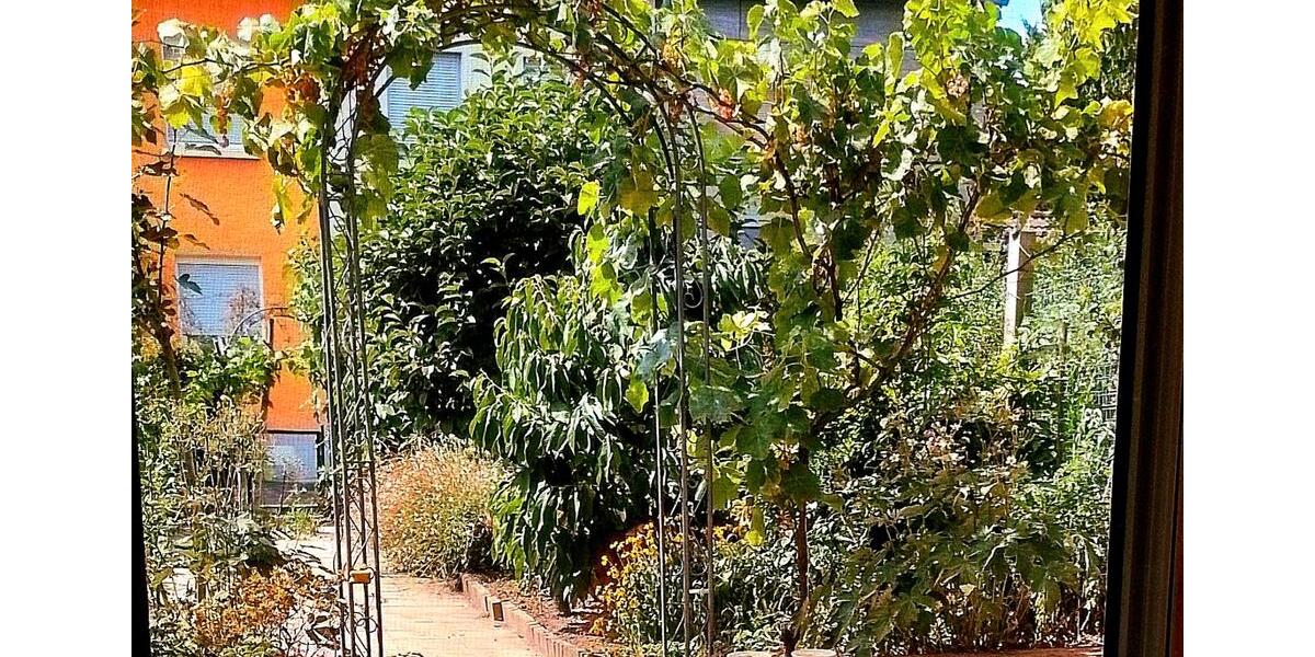 Einfamilienhaus Offenburg Elgersweier - 3 Zimmer, 100 m&sup2;, 350.000&euro; | Angebot:24836764