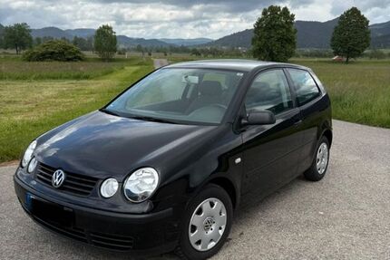 VW Polo 189.000 km 1.380 &euro; Lahr 77933