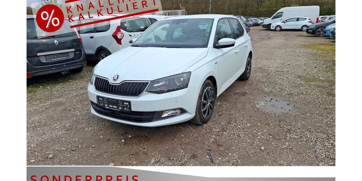 Skoda Fabia 131.000 km 7.185 &euro; Achern 77855