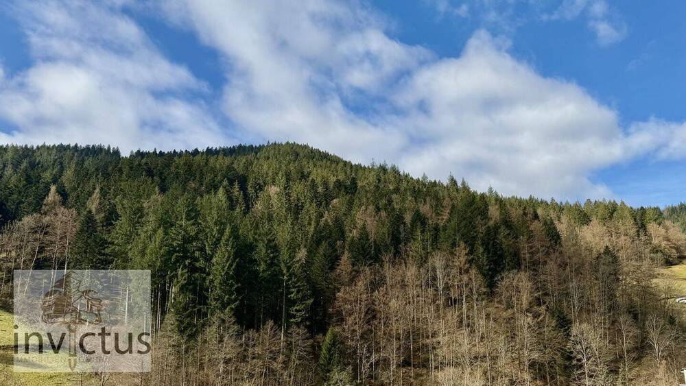 Etagenwohnung Bad Rippoldsau-Schapbach Bad Rippoldsau - 2 Zimmer, 93 m&sup2;, 99.900&euro; | Angebot:26107384