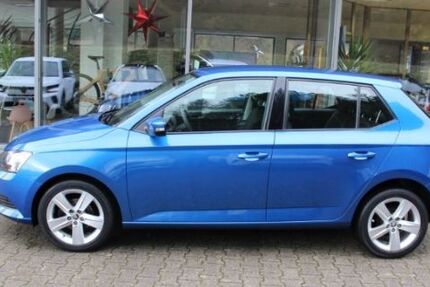 Skoda Fabia 88.700 km 8.900 &euro; Oppenau 77728