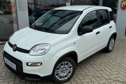 Fiat Panda 10.000 km 14.450 &euro; Kehl am Rhein 77694