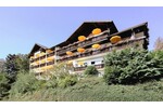 Hotel auch als Reha Klinik Pflegeheim Serviced Appartment - Gewerbeobjekt Bad Peterstal-Griesbach | Angebot:19800960
