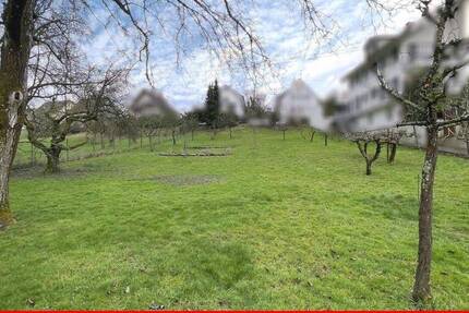 Grundstück Offenburg Rammersweier - 585.000&euro; | Angebot:26119200