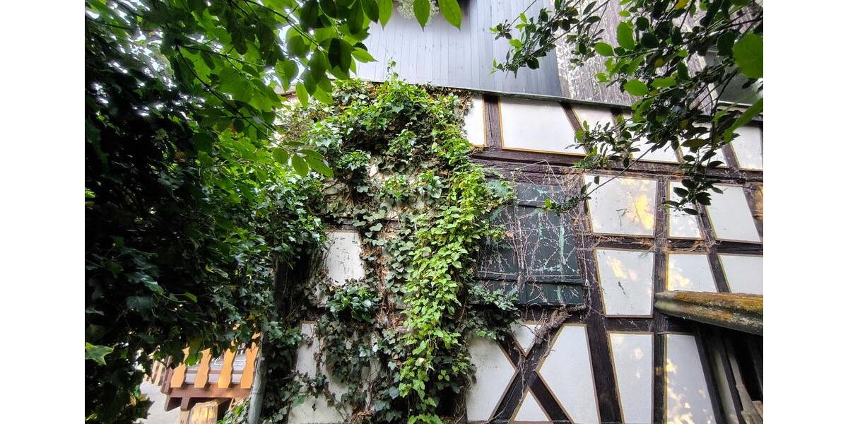 Einfamilienhaus Friesenheim - 5 Zimmer, 145 m&sup2;, 359.000&euro; | Angebot:26716723
