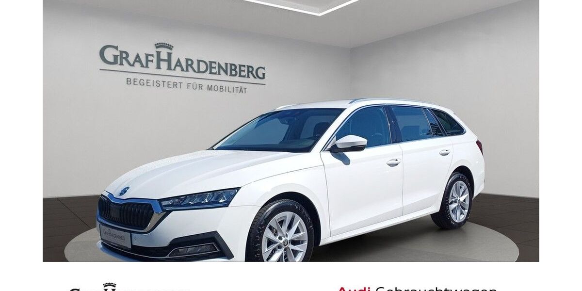 Skoda Octavia 87.300 km 22.444 &euro; Lahr 77933