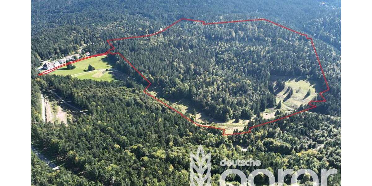 Grundstück Sasbachwalden - 799.000&euro; | Angebot:24550945